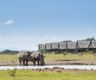 Sweetwaters Tented Camp Sweetwaters Tented Camp